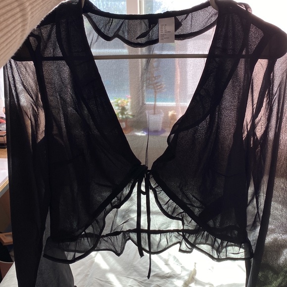 Sheer tie front top - Picture 2 of 4
